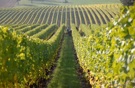 Agroturistika